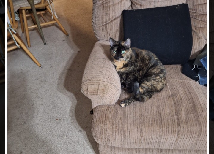 Screenshot_20230909-143445