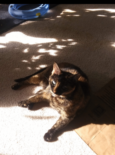 Screenshot_20231128-140221